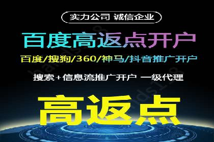 百度推广实战教程：多角度案例分析